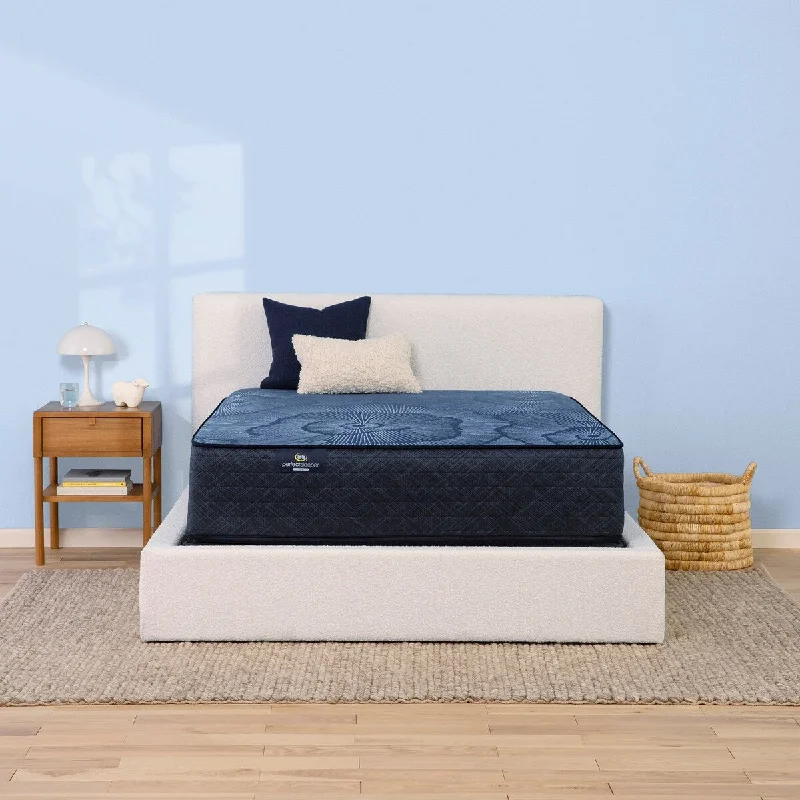 Polyester - foam mattresses for budget - friendly optionsSerta Perfect Sleeper Radiant Rest 14" Hybrid Firm Mattress