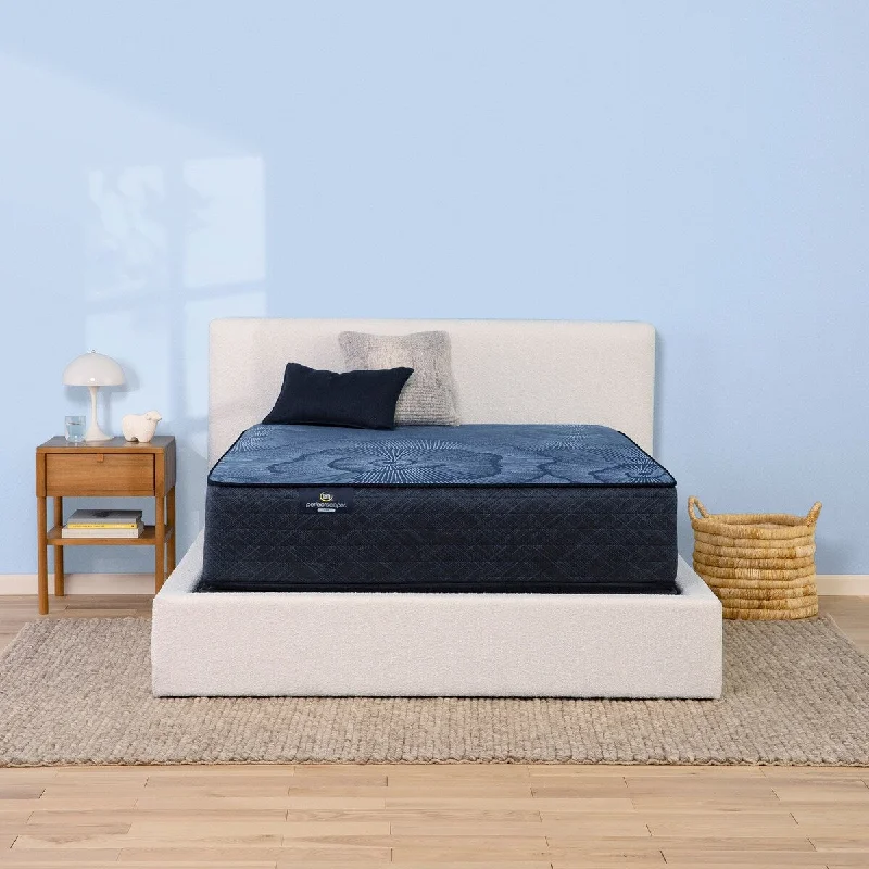 Memory foam mattresses for pressure relief and contouringSerta Perfect Sleeper Radiant Rest 14" Hybrid Plush Mattress