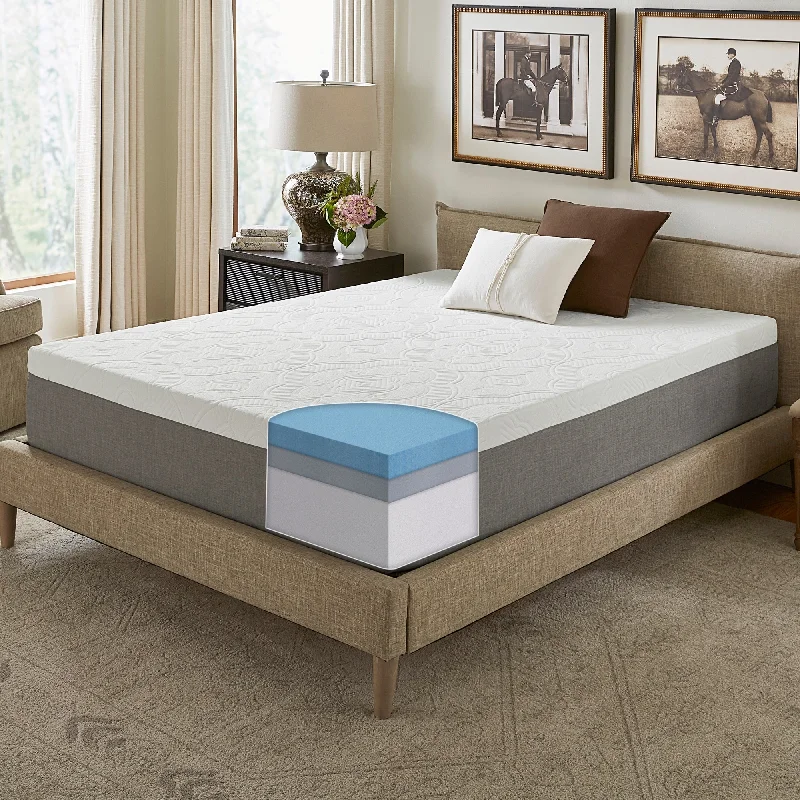 Bamboo - charcoal infused mattresses for odor absorptionSlumber Solutions Signature 12-inch NRGel Memory Foam Mattress